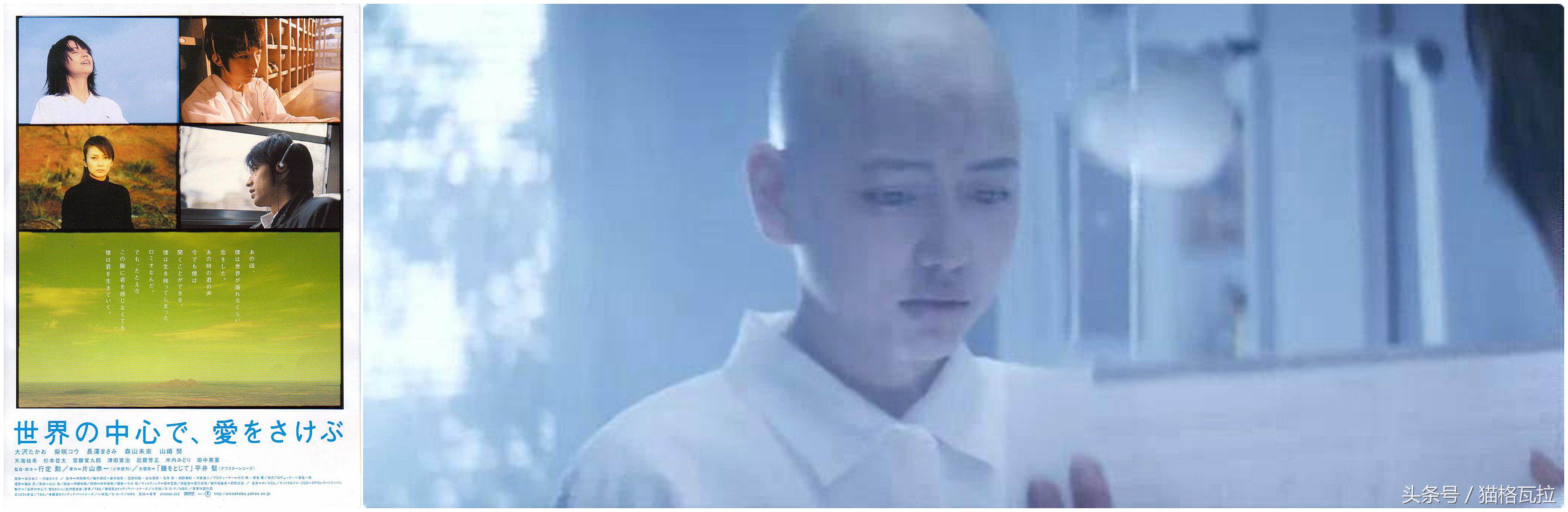 关于夏天的记忆是什么样的,关于夏天的一个记忆