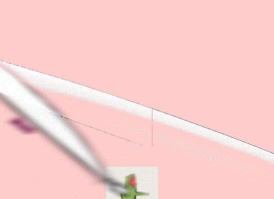 吐槽三个国货品牌,那些你以为是杂牌的国货品牌