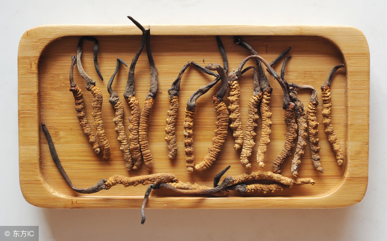 补阳药有哪些中药材,中药学补阳药