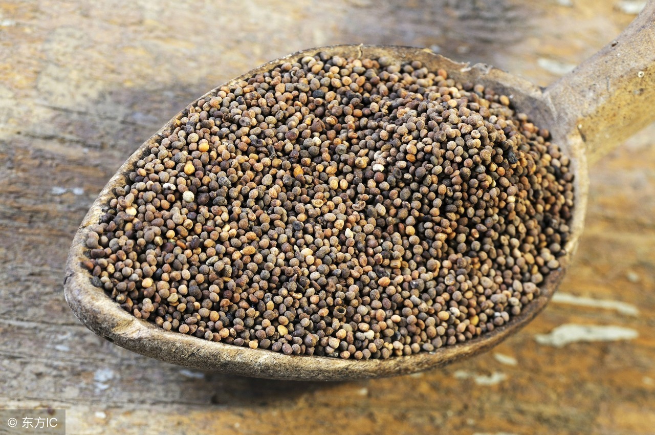 补阳药有哪些中药材,中药学补阳药