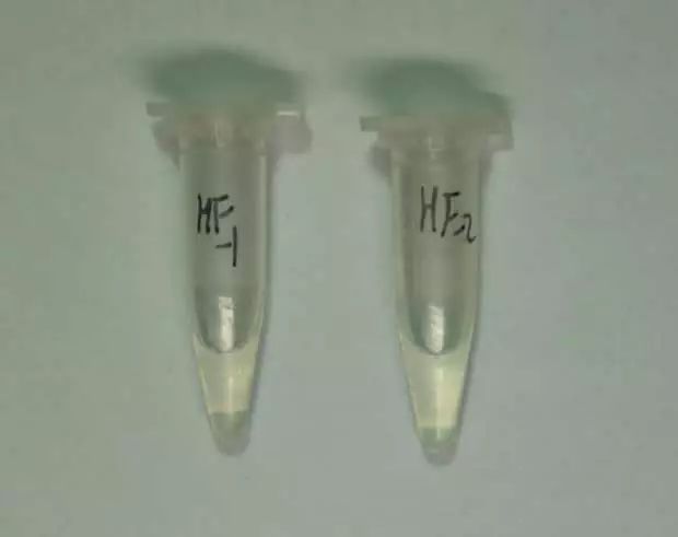 关于国家禁毒工作的法律法规,国家禁毒的基本知识