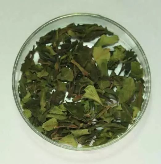 珍爱生命远离烟草毒品心得体会,珍爱生命远离毒品的知识图片