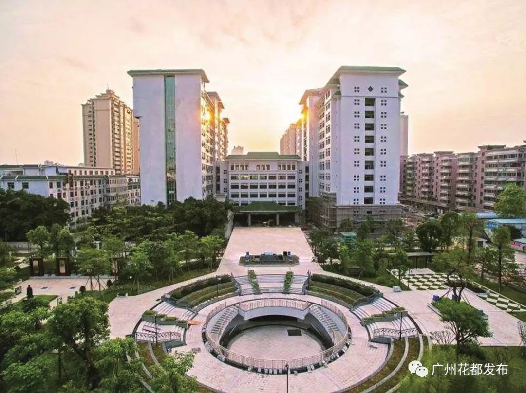 广东省构建医疗卫生高地行动计划,打造粤港澳大湾区中医药医疗高地