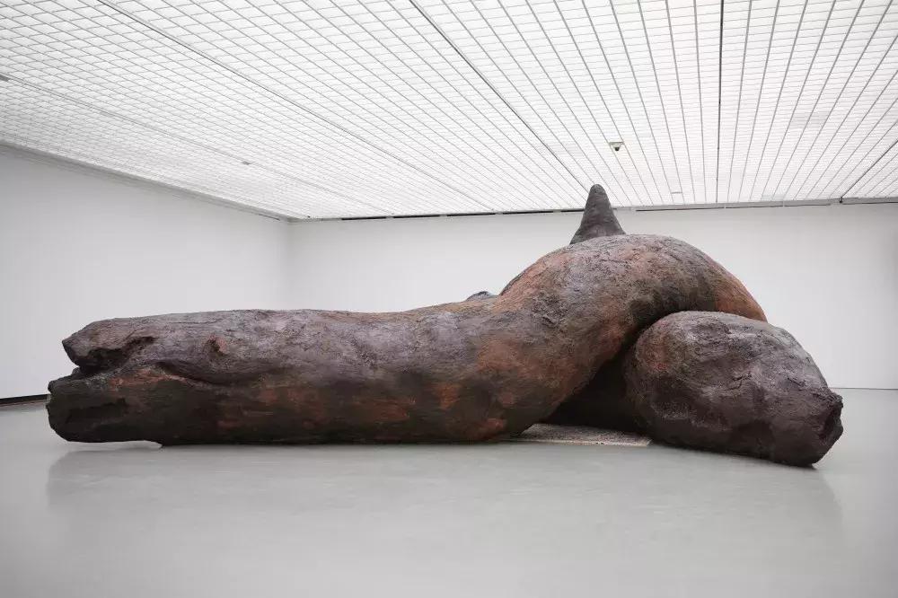 三观毁｜这个位于荷兰鹿特丹的博物馆，居然进屎了!!