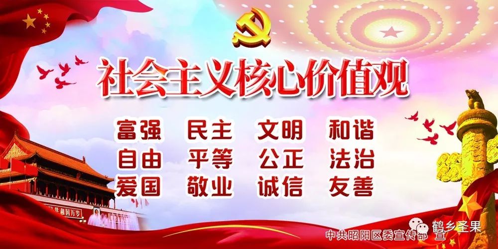 记者走访街头单车,共享单车的出镜记者