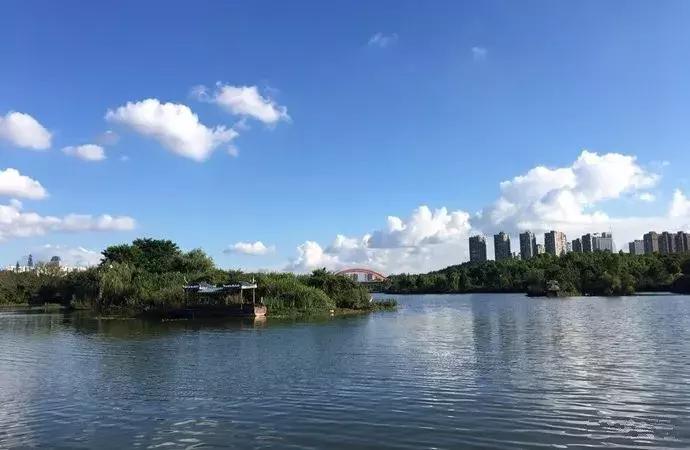 从无人区归来图片,从无人区归来