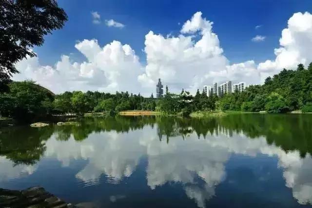 从无人区归来图片,从无人区归来