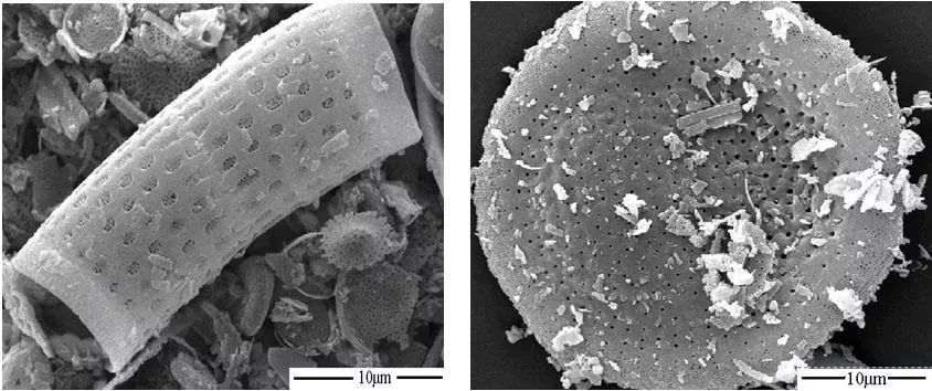 干货一文了解茂金属聚乙烯,造纸涉及的基础化学知识