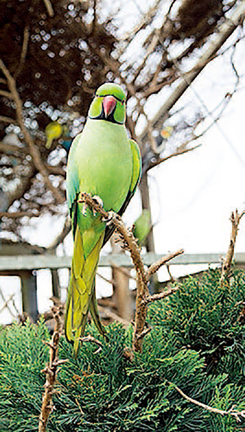 单反入门相机推荐,入门数码单反相机