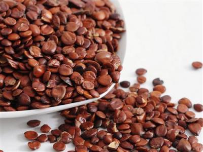 酸枣仁油的功效与作用及食用方法,中药酸枣仁的作用与功效