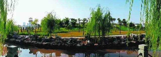 义乌江滨绿廊景点,义乌江滨绿廊公园绣球花