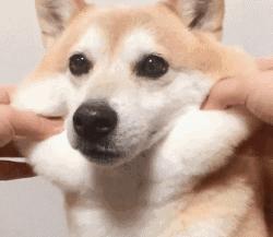 拔草平价面膜,那些热销烂脸的面膜