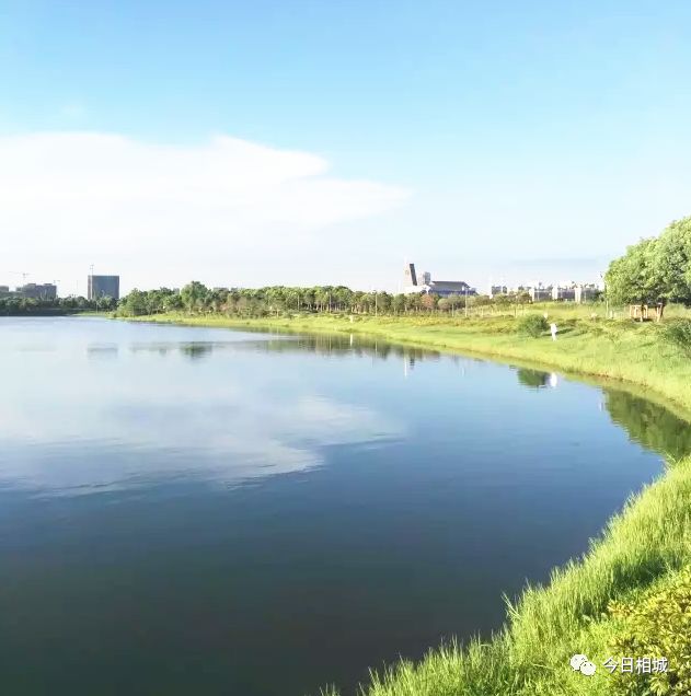 吴县撤市设区文件、80年代结婚证……相城那些陈年往事首度“曝光”