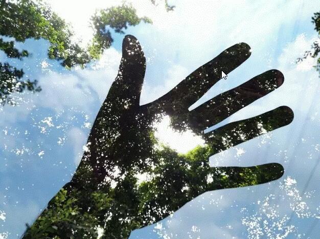 手机中的单反机，努比亚为手机摄影事业发展做出了哪些贡献