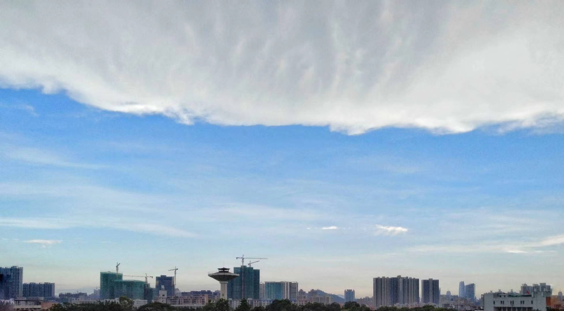 你别来我就无恙全文免费阅读,你别来我就无恙图片