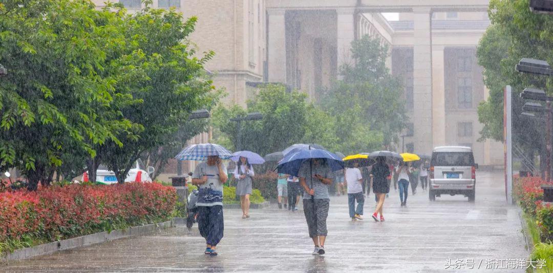 你觉得大海是怎么样的二年级上册,你觉得夏天是怎样的