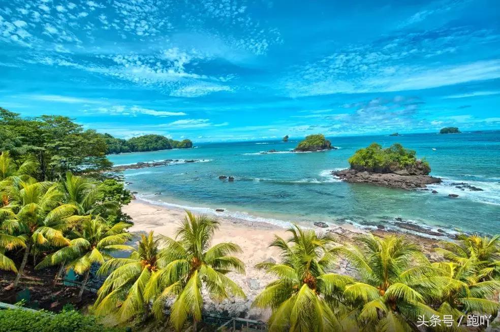 单次世界杯进球最多的国家,世界杯单场进球最多的国家