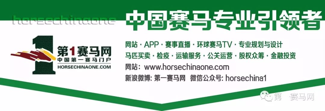 赛马前腿瘸了什么原因,赛马腿瘸了