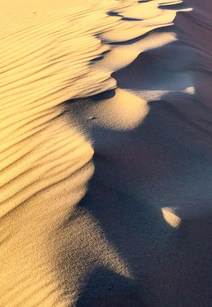 尼康d800搭配尼康24-120效果怎么样,尼康d800自身携带的拍摄风格