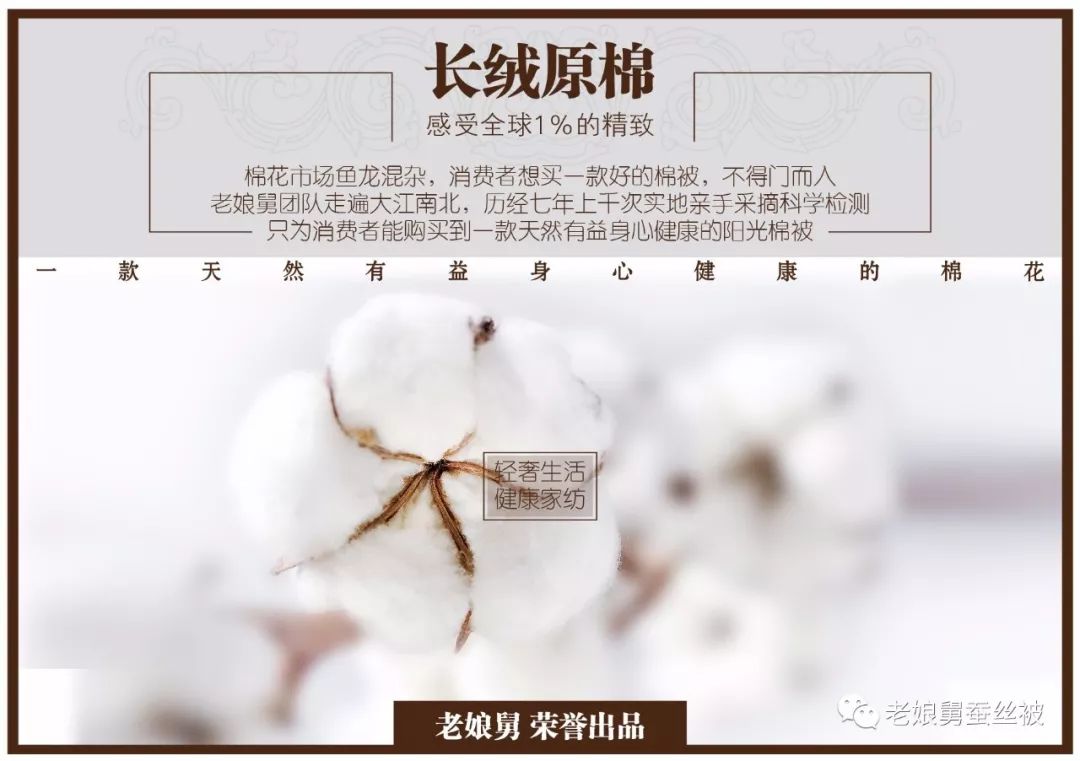 最好的棉花是哪种棉花,棉花的种类哪种好