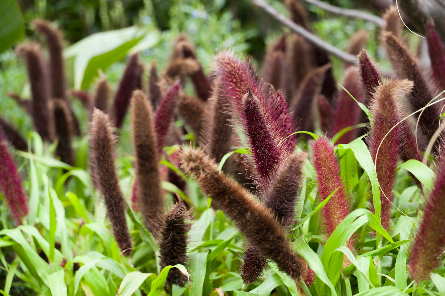 开启诗和远方,龙湖三千庭三居室