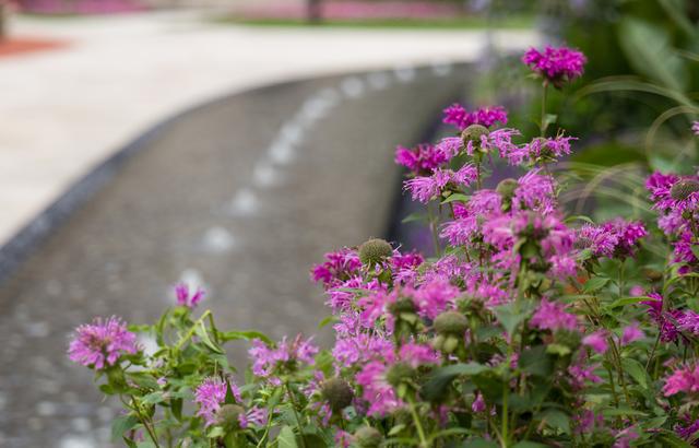 开启诗和远方,龙湖三千庭三居室