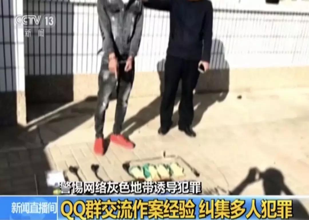 QQ群、贴吧成为滋生犯罪的温床，平台责任该如何落实？