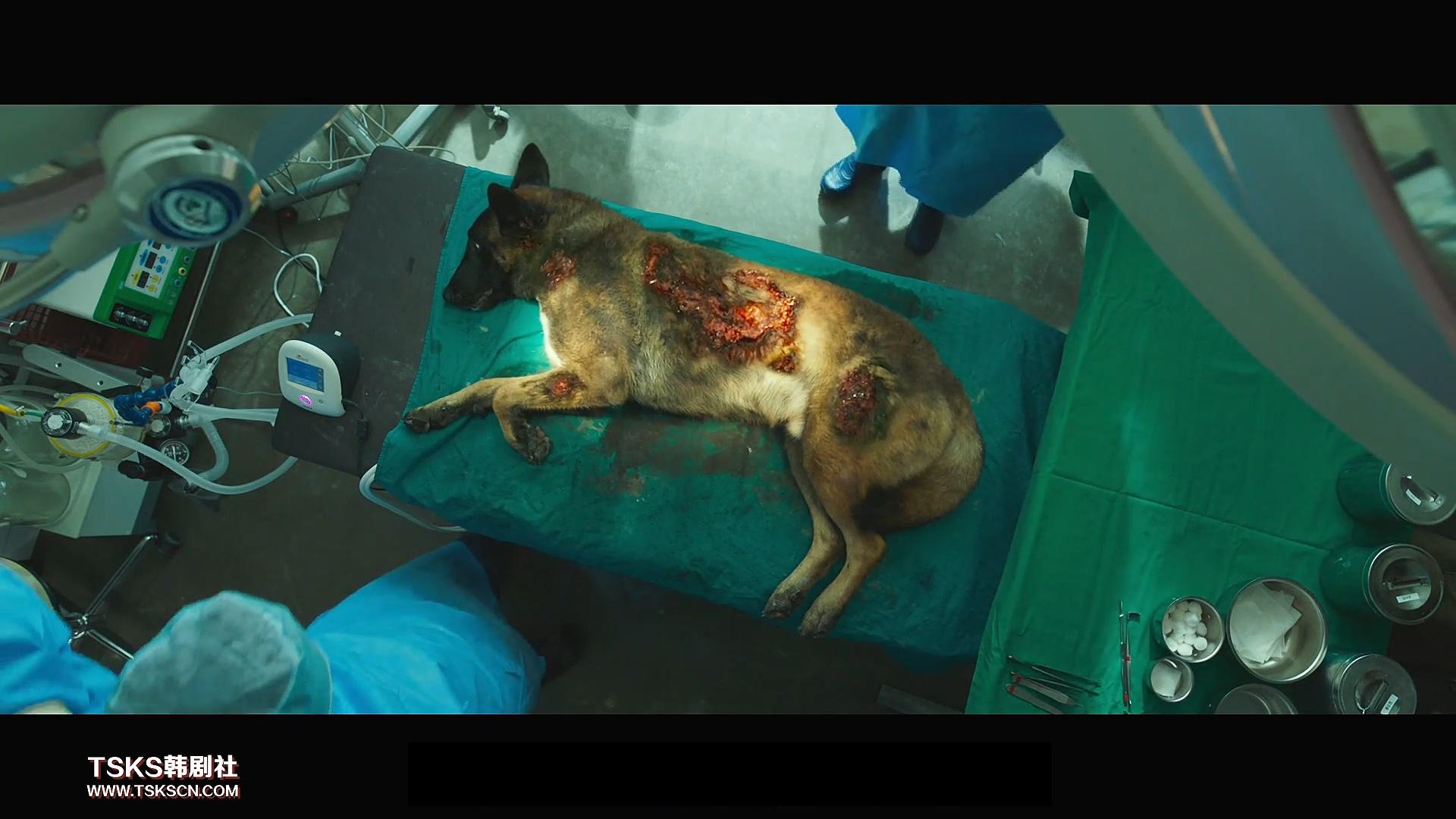 复仇与救赎,韩国复仇电影无尿点