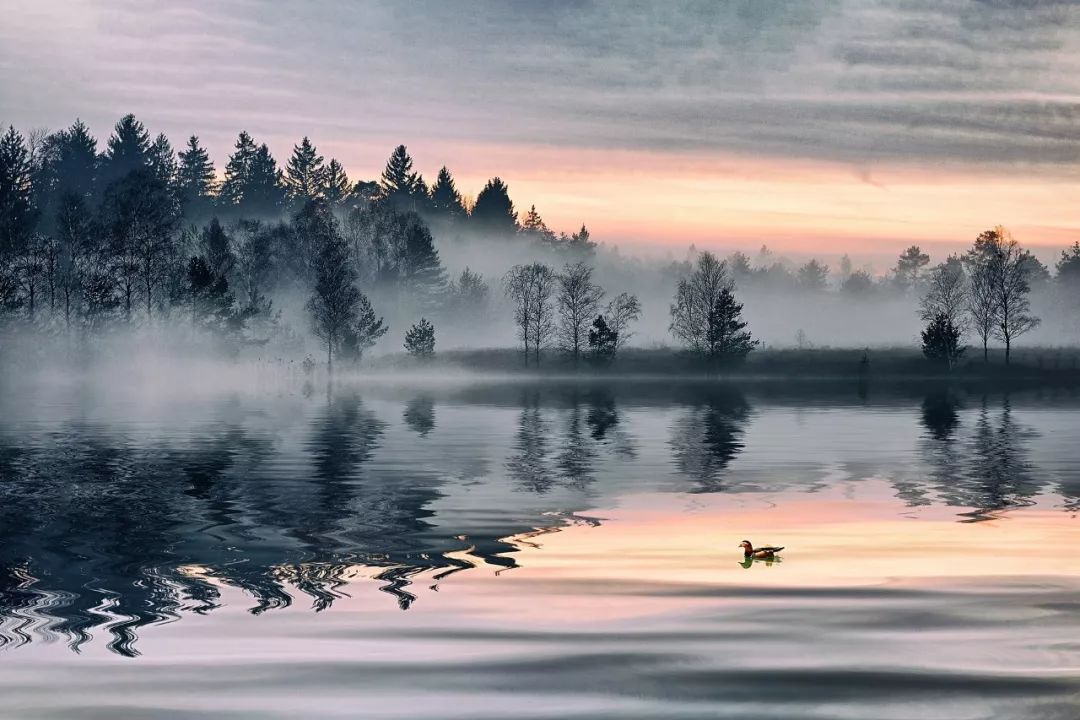 中国汉字的令人崩溃的瞬间,文字原来可以这么扎心