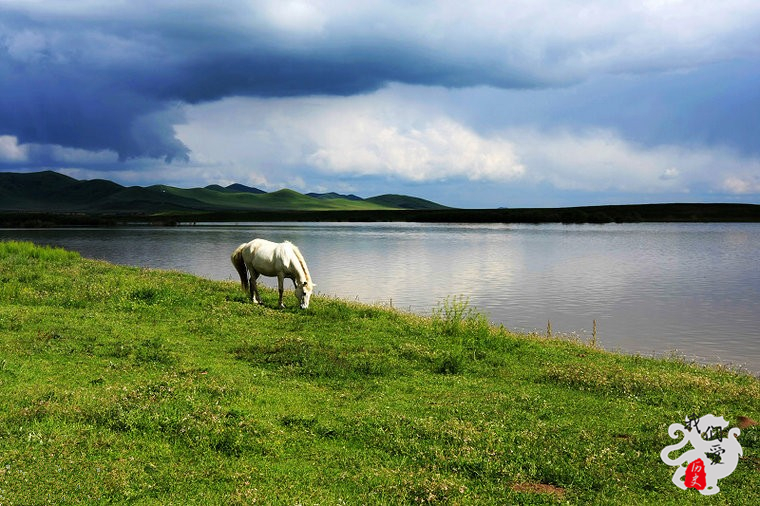 技术落后的古代，*队军**远征如何保障饮水问题？
