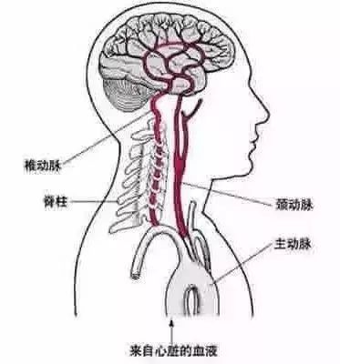 揪心！13厘米竹签插入两岁娃嘴里生命垂危！做家长的千万要注意！