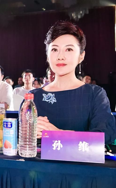 陕西旅游形象大使,陕西形象大使名单