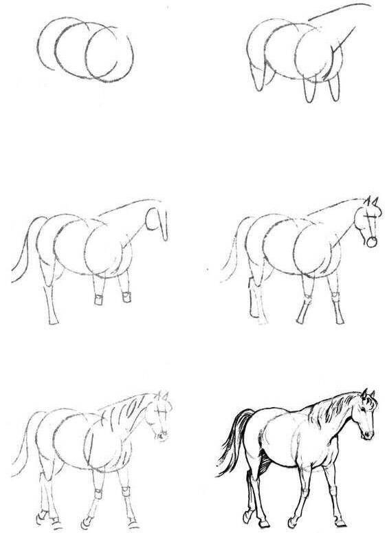 怎么把马画好,如何教你画真实的马