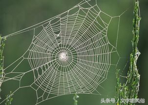 久晴大雾必阴前两句是什么谚语,久晴大雾必阴表示哪种雾