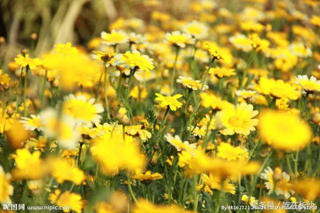 长沙美食推荐必吃榜单排名前十,长沙夏天必吃榜