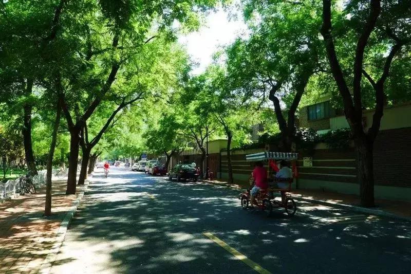 在这里，有老天津的沽上风云，更有如今最美好的样子！