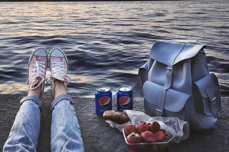 除了北极狐还有别的白狐吗,doughnut双肩包和北极狐