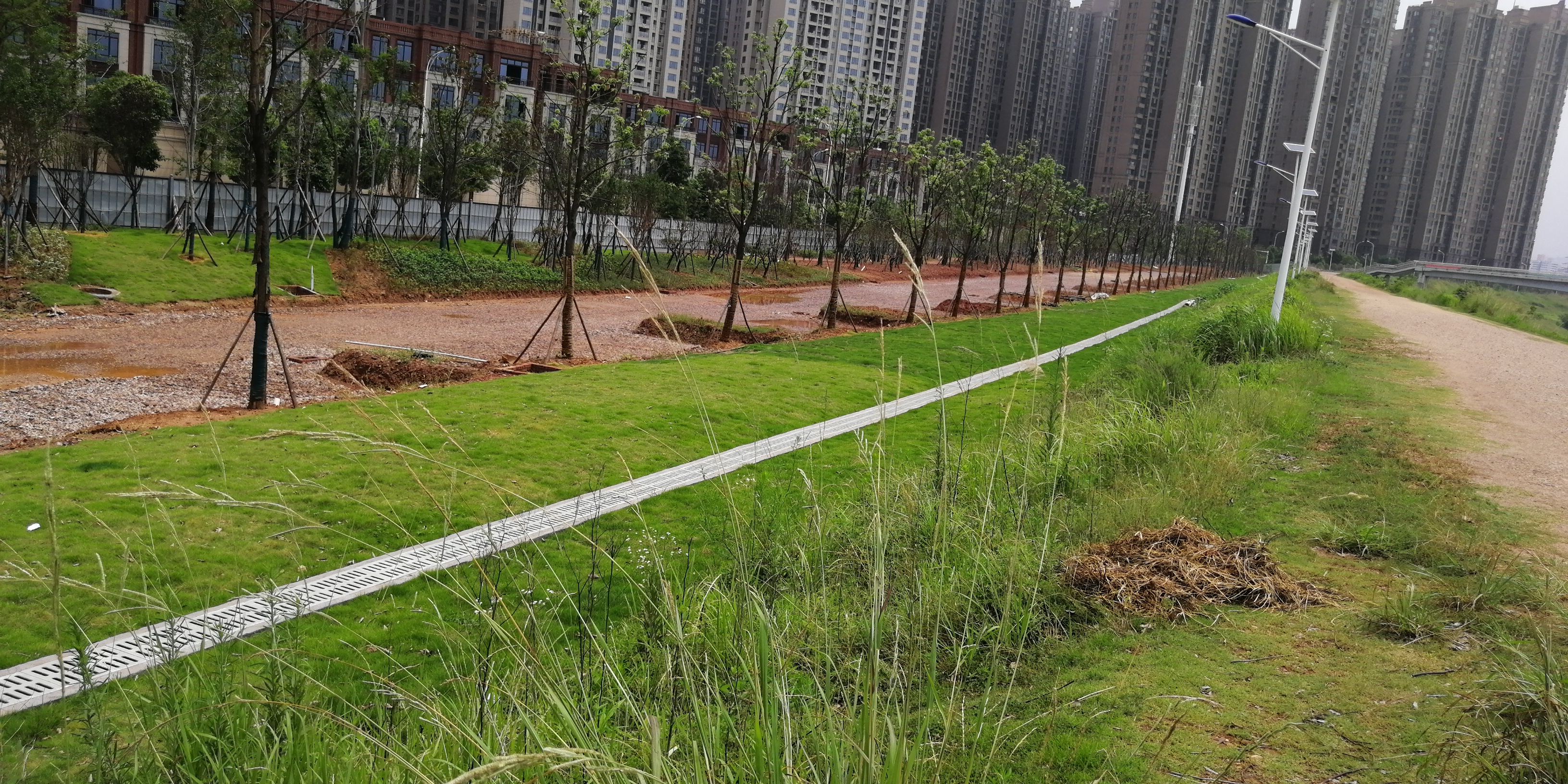 长沙洋湖靳江河,长沙靳江河东山湾