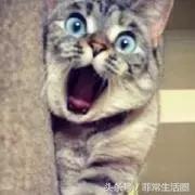 在菲律宾首都买一套房的钱，去别的国家可以买点啥……