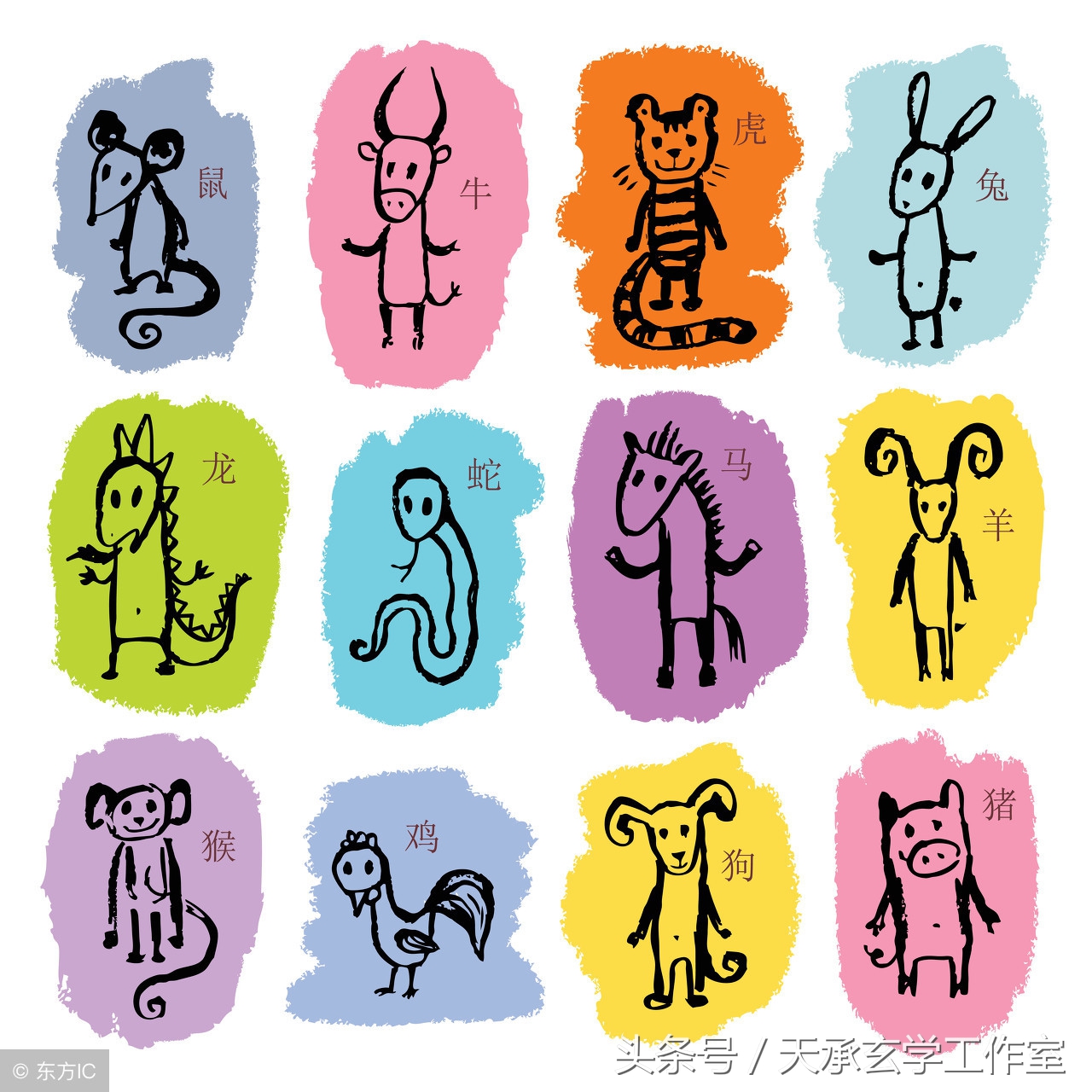 八字解说十二生肖,十二生肖三合局论命理