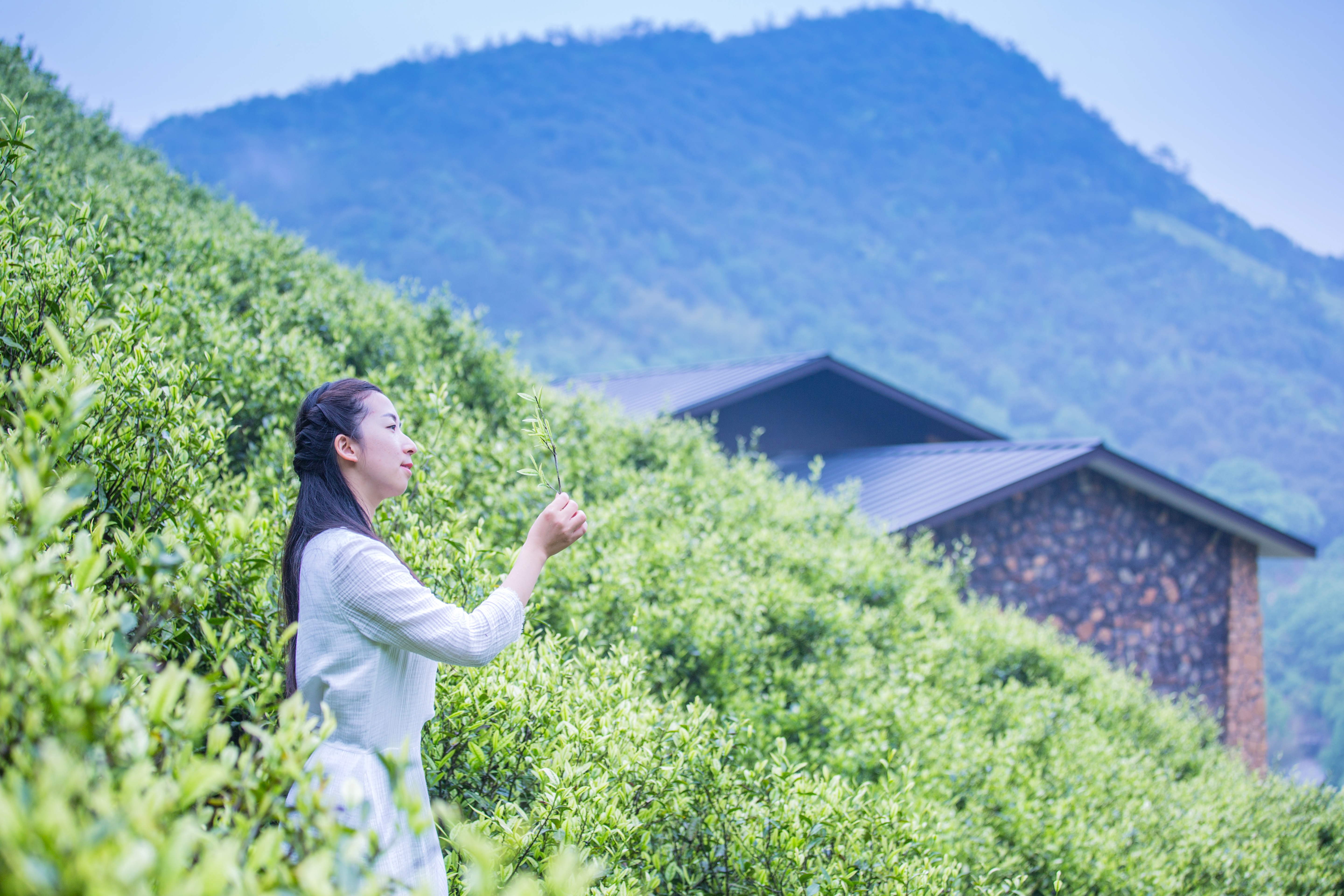 莫干山郡安里君澜度假酒店怎么样,莫干山郡安里君澜度假