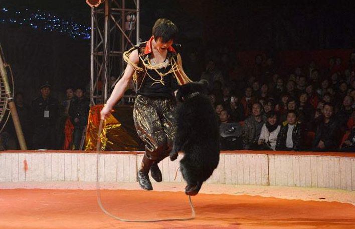 十堰好玩的地方暑假,十堰有没有好玩的室内活动