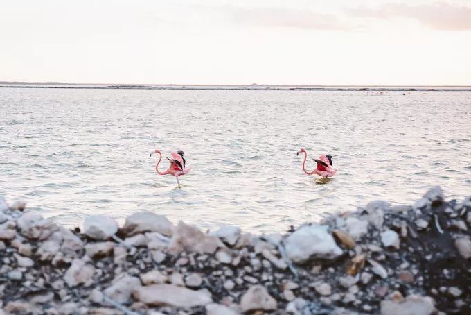 墨西哥雄鹰,墨西哥玛雅文明旅行