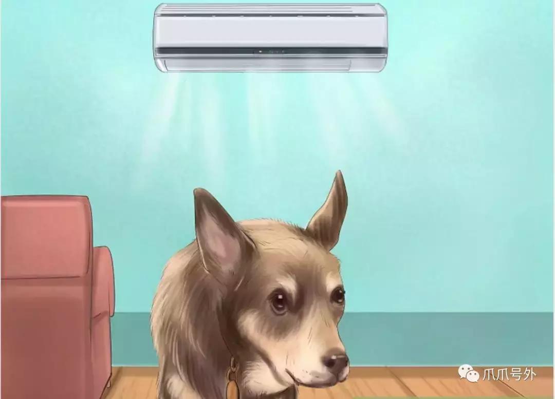 狗狗中暑怎么看,狗狗中暑宠物医院怎么处理