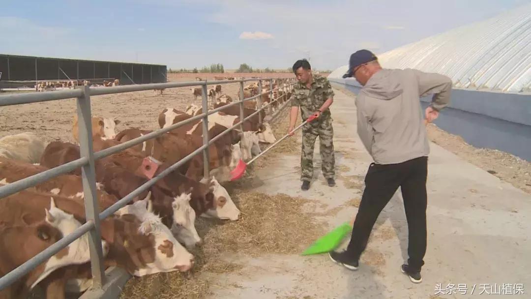 十师团场改革：富了职工活了企业