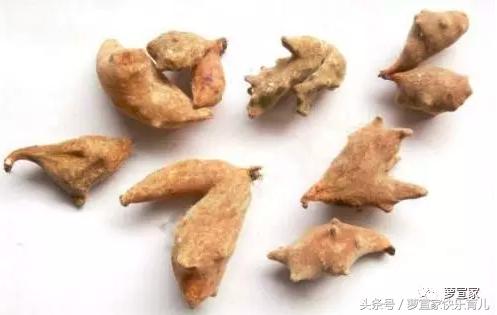 熬夜看球怎么补救,熬夜看球伤身怎么调理