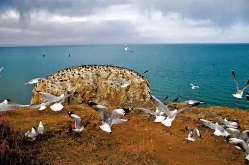 孟达天池与孟达自然保护区,西宁孟达天池旅游攻略