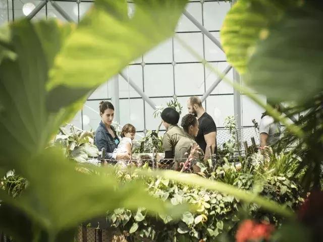 迪拜旅游攻略最低价,迪拜旅游攻略省钱