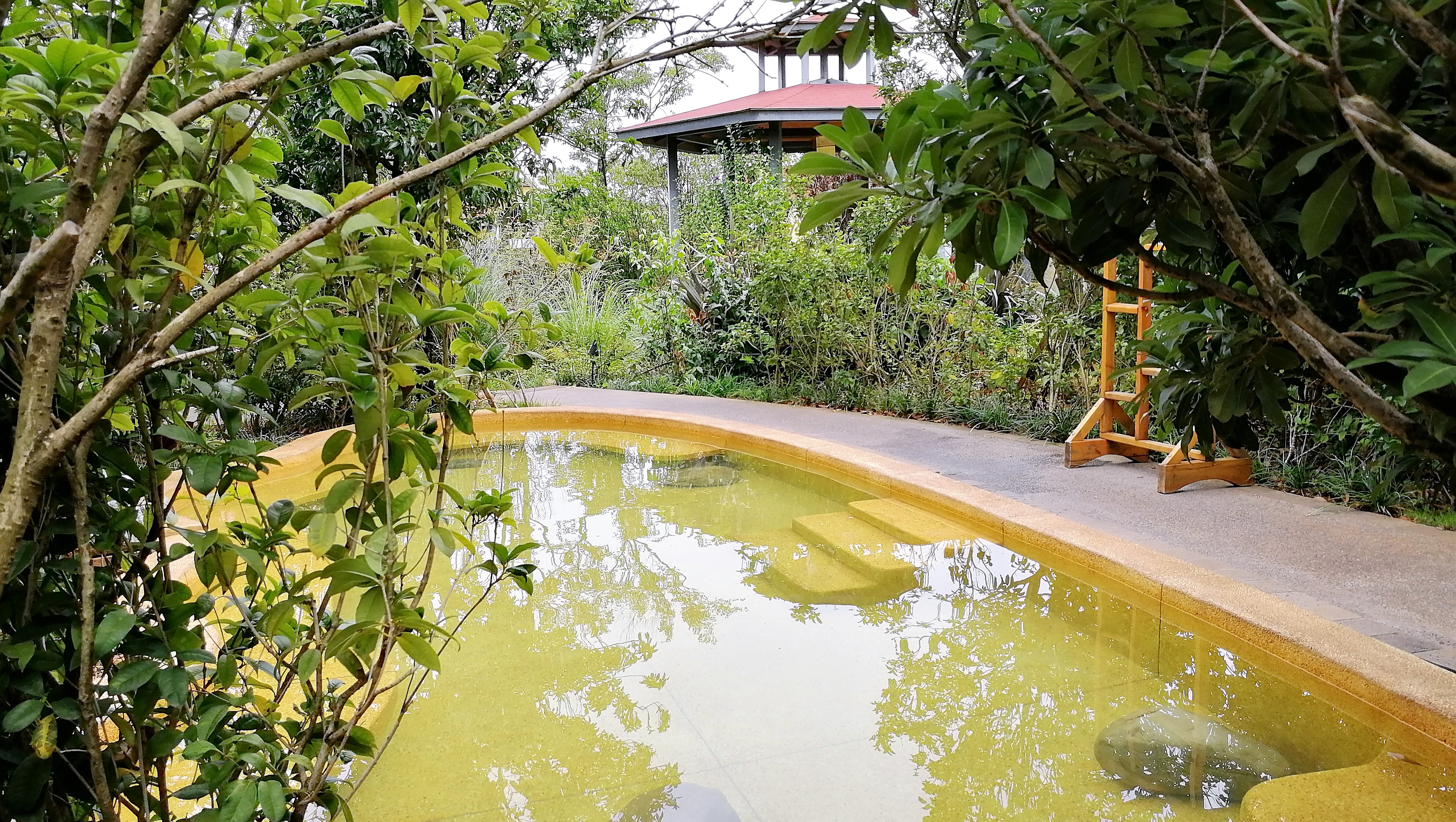 看花海，泡温泉，吃美食，周末就来这里！