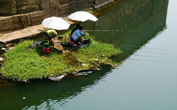 冬天钓鲤鱼十句口诀,五月钓鲤鱼口诀表